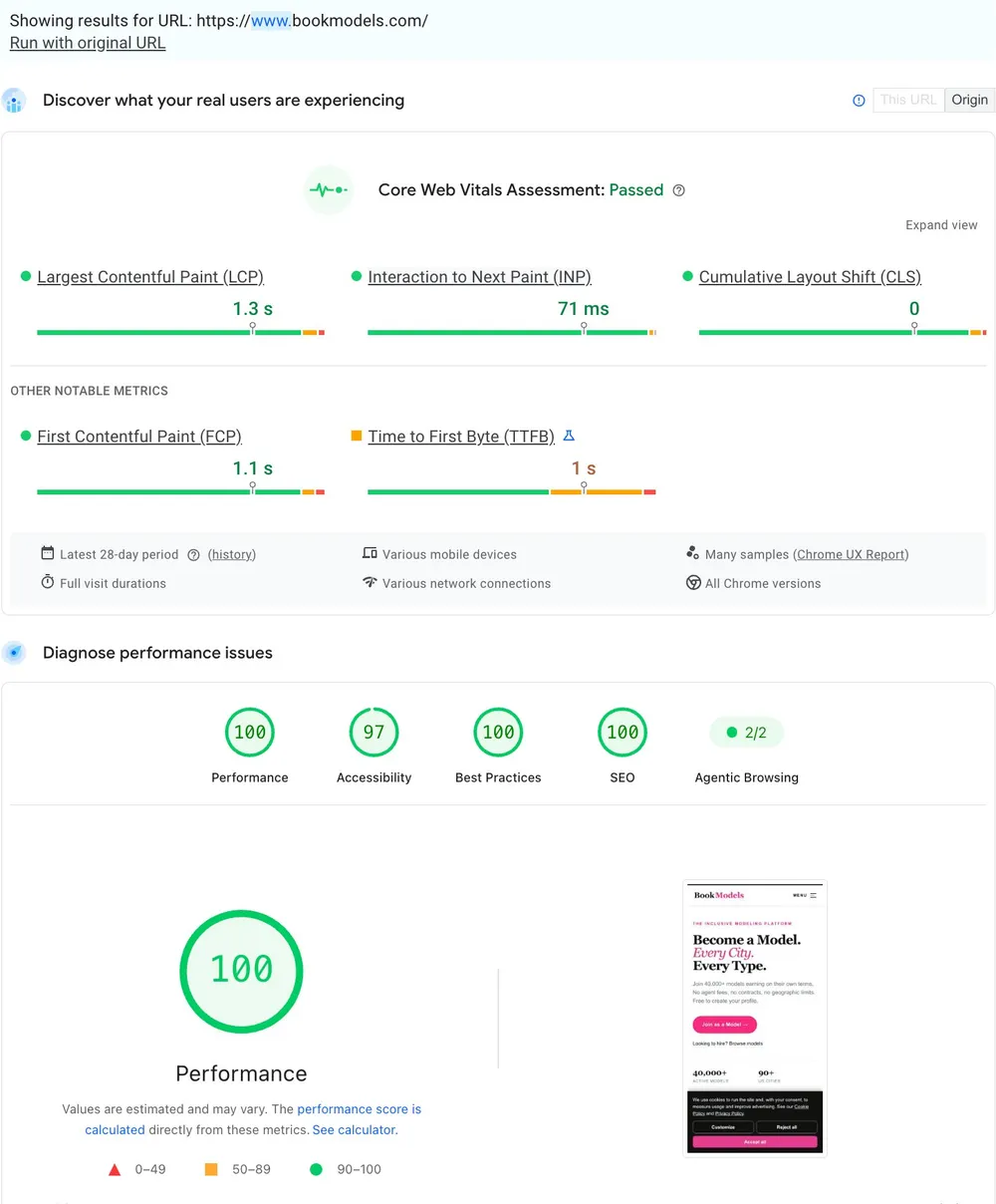PageSpeed Insights mobile, Core Web Vitals passed, Performance 100, SEO 100